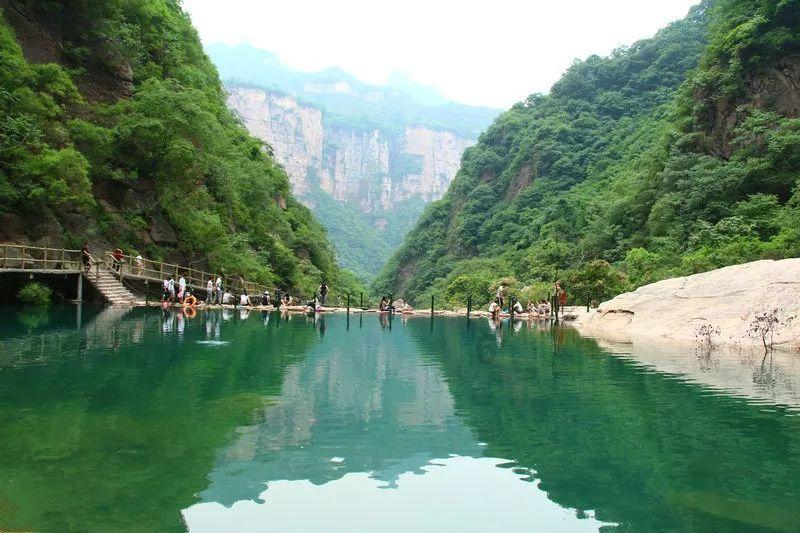 小长颈鹿逃离
