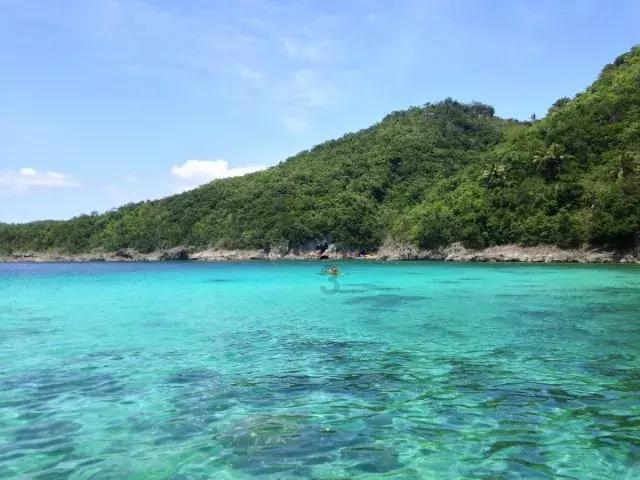 爱吃叶子的毛毛虫